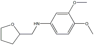  (3,4-dimethoxyphenyl)(tetrahydrofuran-2-yl)methylamine