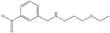 (3-ethoxypropyl)[(3-nitrophenyl)methyl]amine