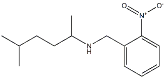 (5-methylhexan-2-yl)[(2-nitrophenyl)methyl]amine Struktur