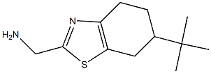 (6-tert-butyl-4,5,6,7-tetrahydro-1,3-benzothiazol-2-yl)methanamine 化学構造式