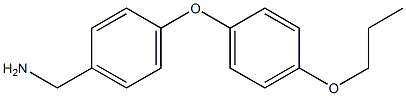 [4-(4-propoxyphenoxy)phenyl]methanamine 结构式