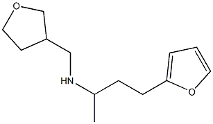 [4-(furan-2-yl)butan-2-yl](oxolan-3-ylmethyl)amine