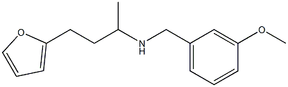 [4-(furan-2-yl)butan-2-yl][(3-methoxyphenyl)methyl]amine|