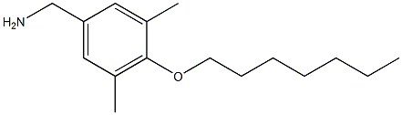 [4-(heptyloxy)-3,5-dimethylphenyl]methanamine 化学構造式