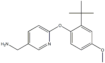 [6-(2-tert-butyl-4-methoxyphenoxy)pyridin-3-yl]methylamine,,结构式