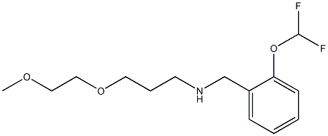 {[2-(difluoromethoxy)phenyl]methyl}[3-(2-methoxyethoxy)propyl]amine