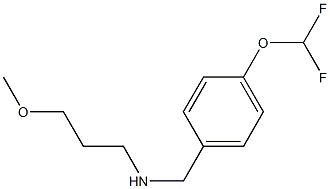 {[4-(difluoromethoxy)phenyl]methyl}(3-methoxypropyl)amine