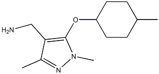  {1,3-dimethyl-5-[(4-methylcyclohexyl)oxy]-1H-pyrazol-4-yl}methanamine