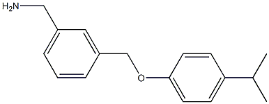 {3-[4-(propan-2-yl)phenoxymethyl]phenyl}methanamine,,结构式