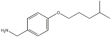 {4-[(4-methylpentyl)oxy]phenyl}methanamine