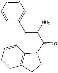 1-(2,3-dihydro-1H-indol-1-yl)-1-oxo-3-phenylpropan-2-amine Structure