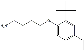 1-(4-aminobutoxy)-2-tert-butyl-4-ethylbenzene Structure