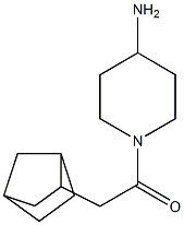 1-(4-aminopiperidin-1-yl)-2-{bicyclo[2.2.1]heptan-2-yl}ethan-1-one 结构式