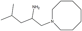 1-(azocan-1-yl)-4-methylpentan-2-amine