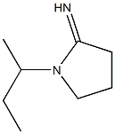 1-(butan-2-yl)pyrrolidin-2-imine