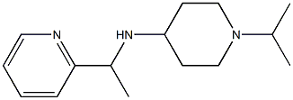 1-(propan-2-yl)-N-[1-(pyridin-2-yl)ethyl]piperidin-4-amine,,结构式