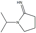  1-(propan-2-yl)pyrrolidin-2-imine