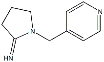 1-(pyridin-4-ylmethyl)pyrrolidin-2-imine 结构式