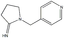  1-(pyridin-4-ylmethyl)pyrrolidin-2-imine