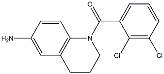  1-[(2,3-dichlorophenyl)carbonyl]-1,2,3,4-tetrahydroquinolin-6-amine