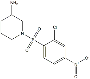 1-[(2-chloro-4-nitrobenzene)sulfonyl]piperidin-3-amine 结构式