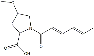 1-[(2E,4E)-hexa-2,4-dienoyl]-4-methoxypyrrolidine-2-carboxylic acid