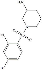 1-[(4-bromo-2-chlorobenzene)sulfonyl]piperidin-3-amine Structure