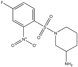 1-[(4-fluoro-2-nitrobenzene)sulfonyl]piperidin-3-amine Structure