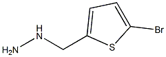 1-[(5-bromothiophen-2-yl)methyl]hydrazine Structure