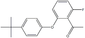 1-[2-(4-tert-butylphenoxy)-6-fluorophenyl]ethan-1-one Structure