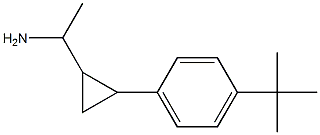 1-[2-(4-tert-butylphenyl)cyclopropyl]ethan-1-amine