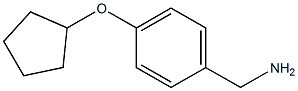 1-[4-(cyclopentyloxy)phenyl]methanamine