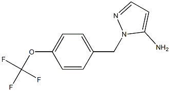 1-[4-(trifluoromethoxy)benzyl]-1H-pyrazol-5-amine 结构式