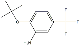 2-(tert-butoxy)-5-(trifluoromethyl)aniline 化学構造式