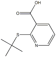 2-(tert-butylsulfanyl)pyridine-3-carboxylic acid,,结构式
