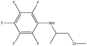 2,3,4,5,6-pentafluoro-N-(1-methoxypropan-2-yl)aniline,,结构式