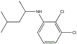 2,3-dichloro-N-(4-methylpentan-2-yl)aniline