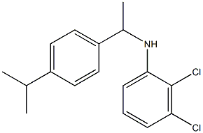 2,3-dichloro-N-{1-[4-(propan-2-yl)phenyl]ethyl}aniline 结构式