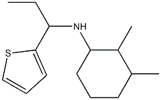 2,3-dimethyl-N-[1-(thiophen-2-yl)propyl]cyclohexan-1-amine 结构式
