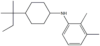 2,3-dimethyl-N-[4-(2-methylbutan-2-yl)cyclohexyl]aniline