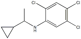2,4,5-trichloro-N-(1-cyclopropylethyl)aniline Structure