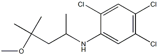 2,4,5-trichloro-N-(4-methoxy-4-methylpentan-2-yl)aniline|