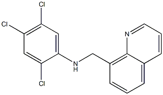 2,4,5-trichloro-N-(quinolin-8-ylmethyl)aniline 结构式