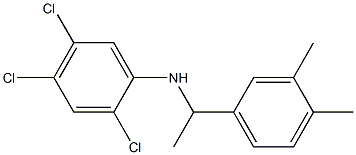 2,4,5-trichloro-N-[1-(3,4-dimethylphenyl)ethyl]aniline