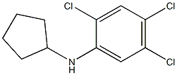 2,4,5-trichloro-N-cyclopentylaniline Struktur