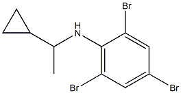 2,4,6-tribromo-N-(1-cyclopropylethyl)aniline 结构式