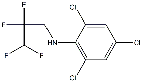 2,4,6-trichloro-N-(2,2,3,3-tetrafluoropropyl)aniline|