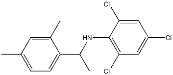 2,4,6-trichloro-N-[1-(2,4-dimethylphenyl)ethyl]aniline