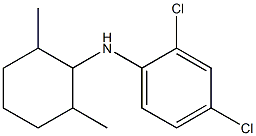 2,4-dichloro-N-(2,6-dimethylcyclohexyl)aniline 化学構造式