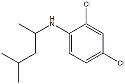 2,4-dichloro-N-(4-methylpentan-2-yl)aniline Structure